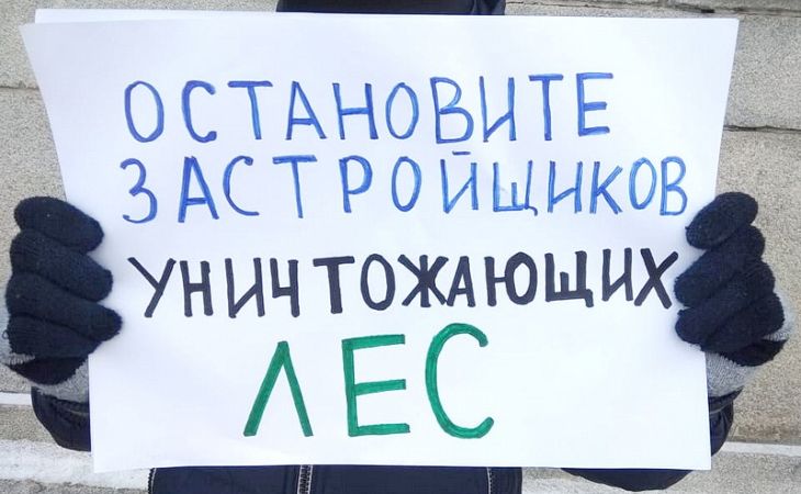 Массовый пикет против вырубки ленточного бора пройдёт в Барнауле