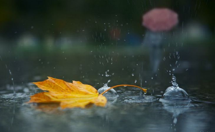 Погода 23 сентября в Алтайском крае: дождь и до +24 градусов