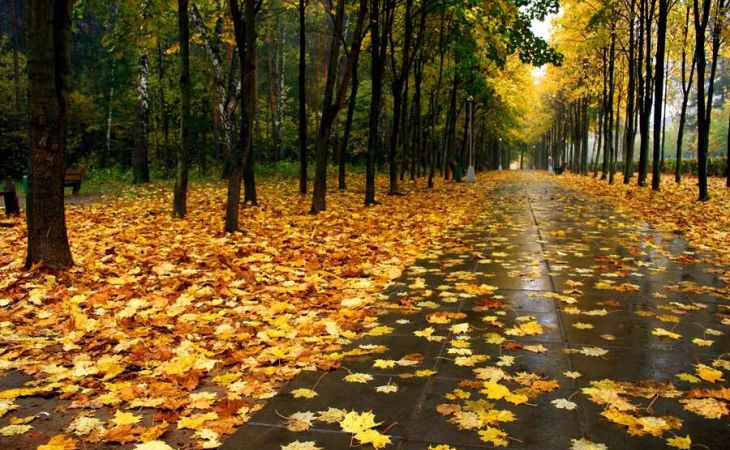 Погода 18 октября в Алтайском крае: дождь, ветер, похолодание