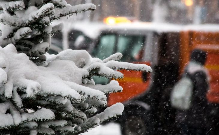 Погода 28 ноября в Алтайском крае: небольшой снег и до -13 градусов