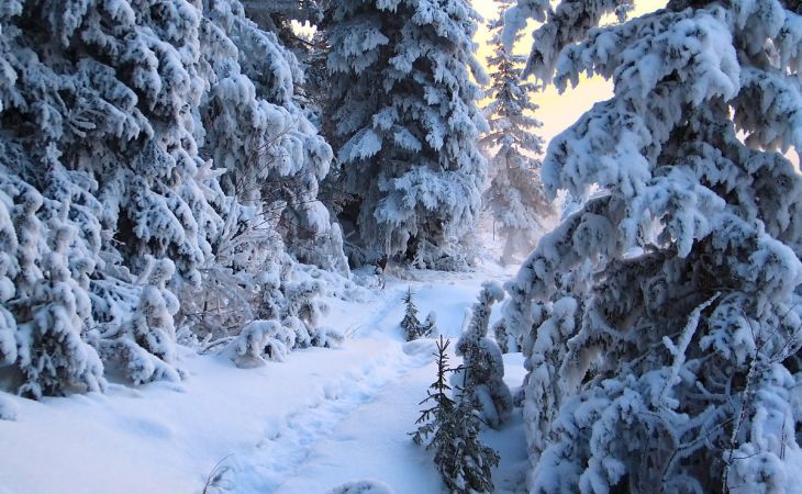 Погода 10 декабря в Алтайском крае: без осадков и до -7 градусов