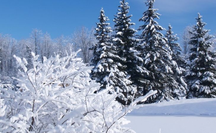 Погода 11 декабря в Алтайском крае: без осадков и до -7 градусов