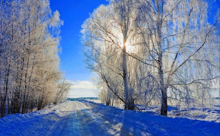 Погода 16 декабря в Алтайском крае: небольшой снег и до -22 градусов