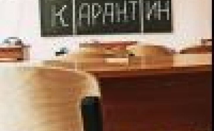 Карантин введен в нескольких школах и детсадах Алтайского края