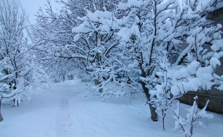 Погода 23 января в Алтайском крае: ветер, снег, метели