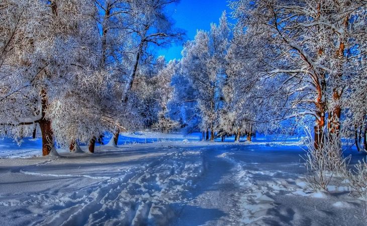 Погода 28 января в Алтайском крае: снег, ветер, метели