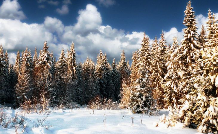 Погода 29 января в Алтайском крае: небольшой снег и похолодание