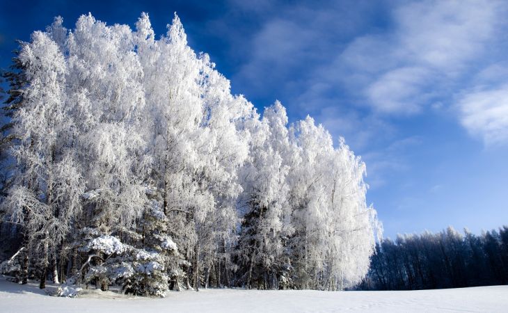 Погода 6 февраля в Алтайском крае: небольшой снег и до +6 градусов