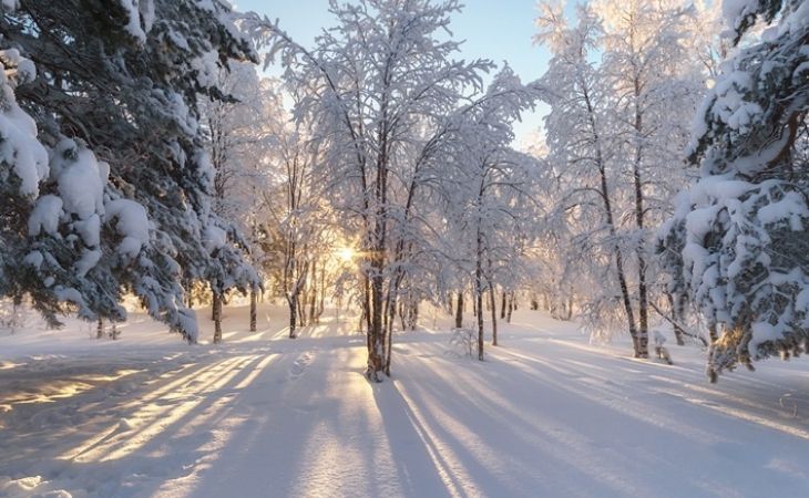 Погода 25 февраля в Алтайском крае: небольшой снег и до -6 градусов