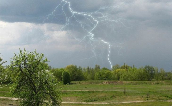 Дожди с грозами прогнозируют на выходных в Алтайском крае