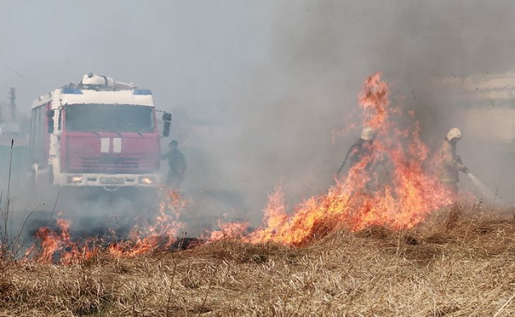 МЧС фиксирует резкое увеличение количества природных пожаров в Алтайском крае