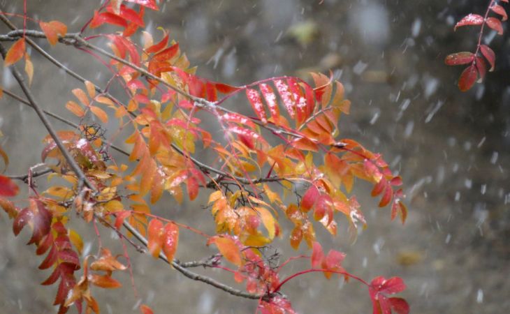 Погода 8 октября в Алтайском крае: дождь со снегом и около 0 градусов