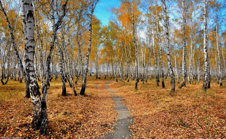 Погода 20 октября в Алтайском крае: потепление до +14 градусов
