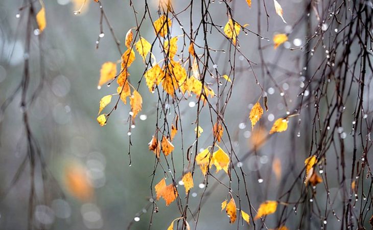 Погода 2 ноября в Алтайском крае: небольшой дождь и до +6 градусов