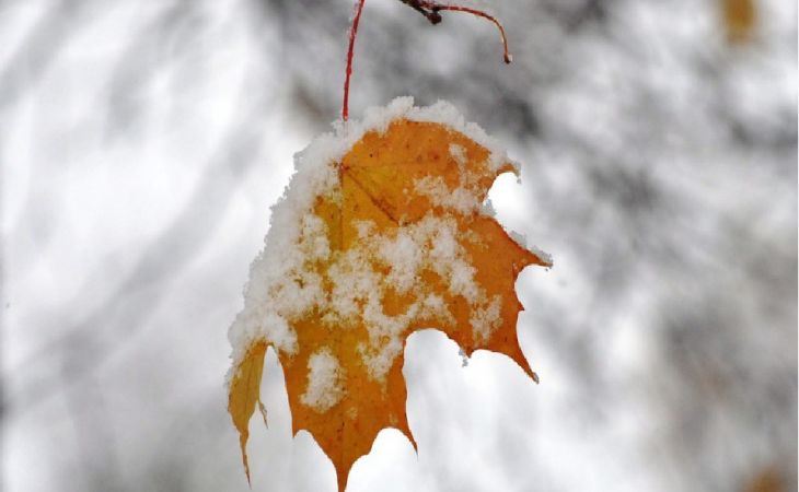 Погода 11 ноября в Алтайском крае: ветер, снег с дождь и около +5 градусов