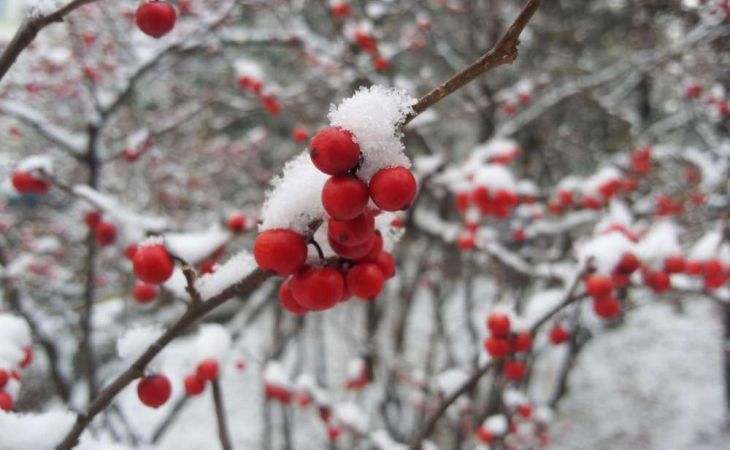 Погода 27 ноября в Алтайском крае: без осадков и до -12 градусов