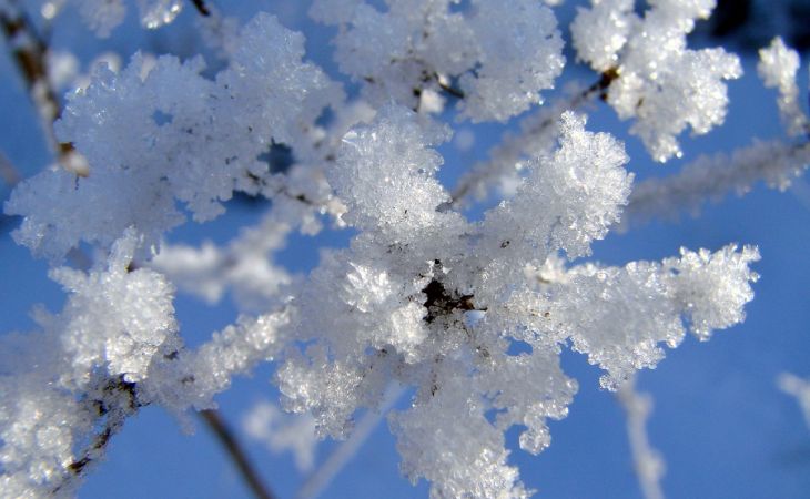 Погода 1 декабря в Алтайском крае: без осадков и до -13 градусов
