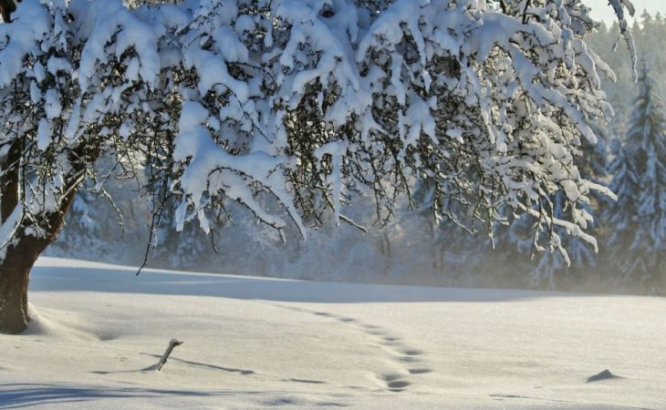Погода 17 декабря в Алтайском крае: небольшой снег, ветер и до -9 градусов