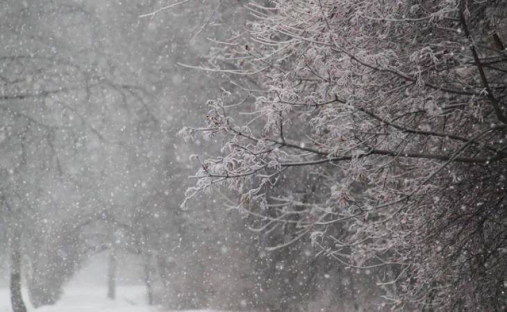 Погода 11 января в Алтайском крае: снег, метели, ветер