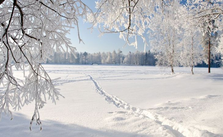 Погода 13 января в Алтайском крае: снег и похолодание
