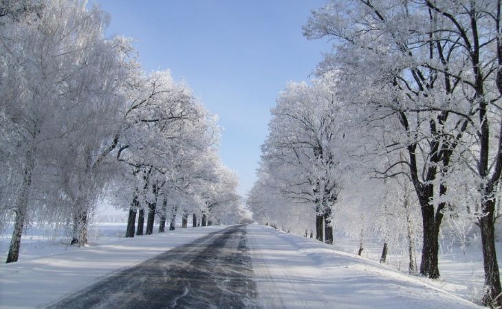 Погода 19 января в Алтайском крае: небольшой снег и до -18 градусов