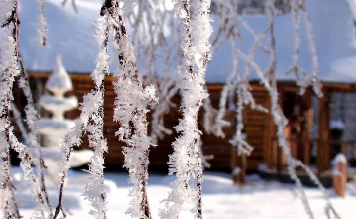 Погода 28 января в Алтайском крае: снег и до -7 градусов
