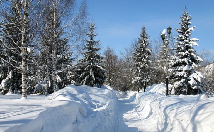 Оттепель сменится похолоданием 9 февраля в Алтайском крае