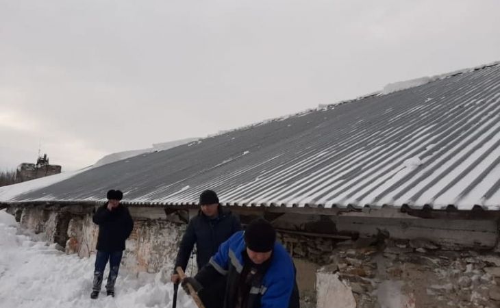 Погребение под снегом: уголовное дело возбудили в Алтайском крае после гибели 4 человек