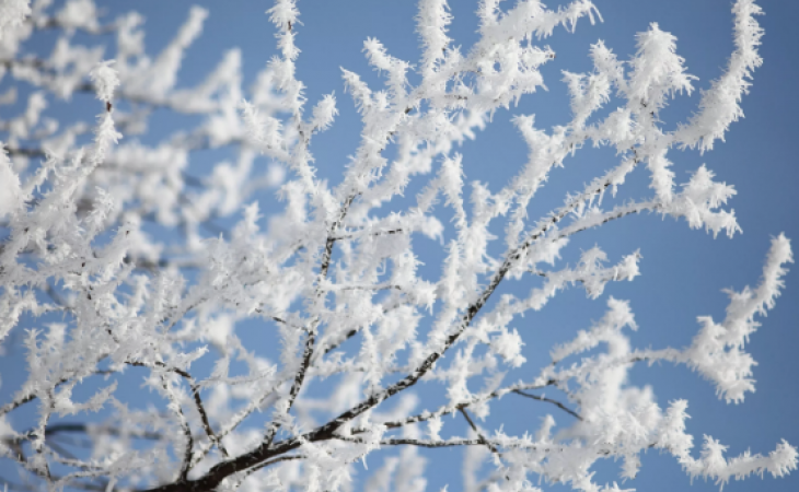 Погода 12 февраля в Алтайском крае: морозы не отступают