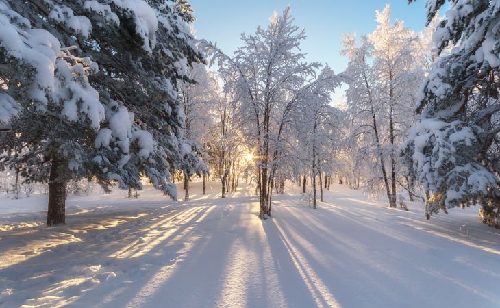 Погода 20 февраля в Алтайском крае: похолодание до -19 градусов в регионе
