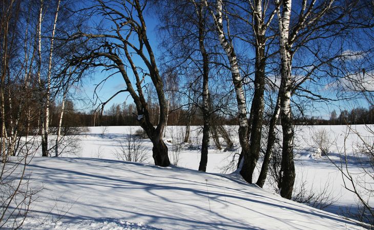 Погода 24 февраля в Алтайском крае: снег и потепление