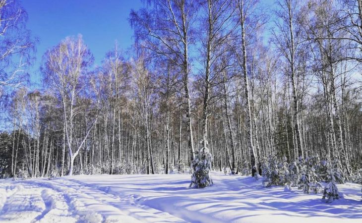 Погода 1 марта в Алтайском крае: потепление принесет непогоду