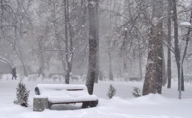 Погода 2 марта в Алтайском крае: снег и потепление в регионе