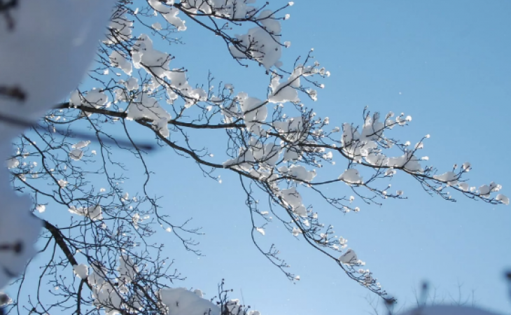 Погода 30 марта в Алтайском крае: ветер, снег и метели