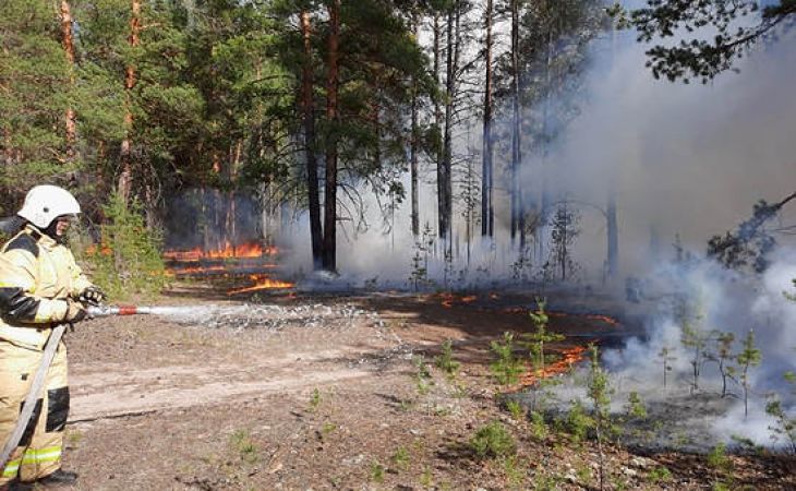 Алтайские пожарные спасли от огня поселок Малиновое Озеро в Михайловском районе