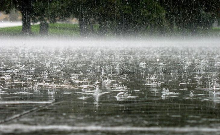 Погода 4 июня в Алтайском крае: похолодание,  ветер, дожди и град