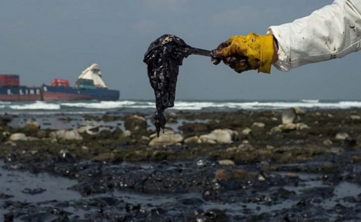 Как "серые кардиналы" нефтяного бизнеса Лариса Каланда и Сергей Киреев связаны с разливом нефти в Чёрном море?