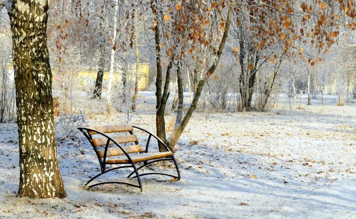 Погода 19 ноября в Алтайском крае: похолодание до -16 градусов