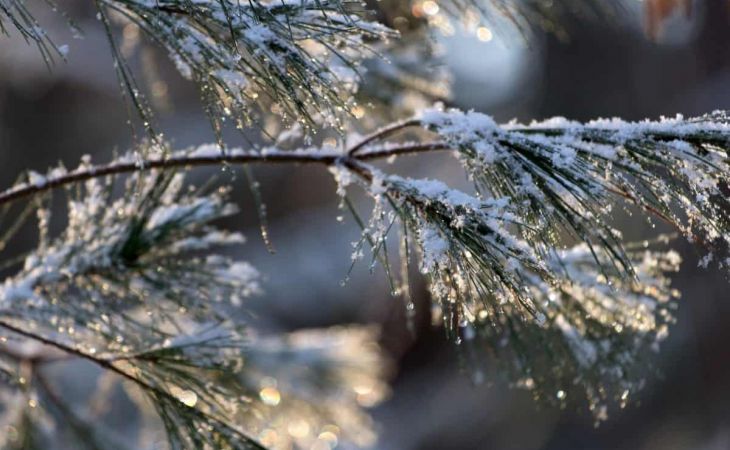 Погода 7 декабря в Алтайском крае: мокрый снег, метели и до +5 градусов