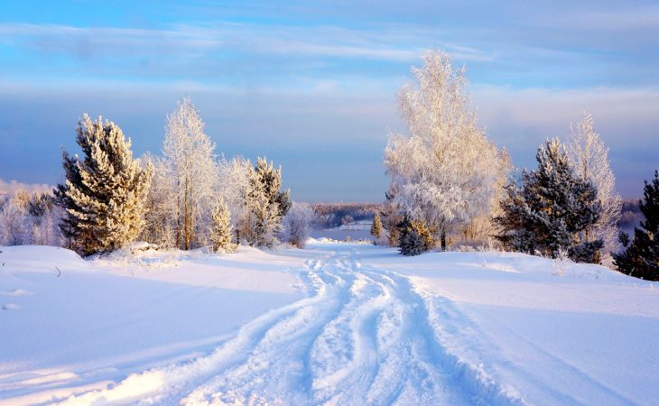 Погода 14 декабря в Алтайском крае: небольшой снег и до -13 градусов