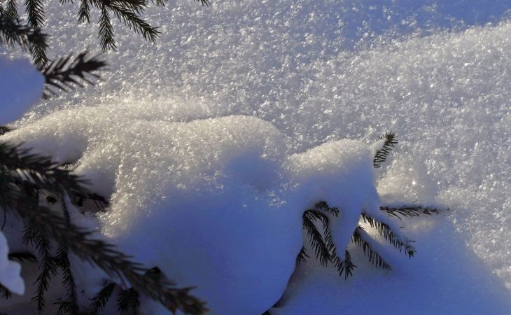 Погода 15 декабря в Алтайском крае: небольшой снег и до -16 градусов