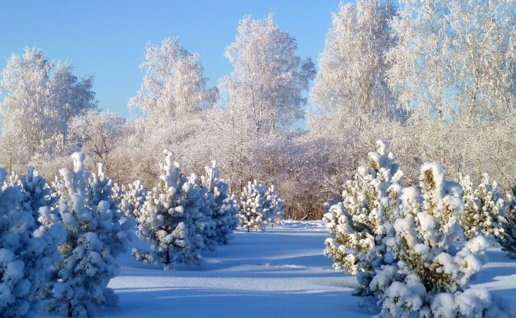 Погода 27 декабря в Алтайском крае: небольшой снег и до -9 градусов