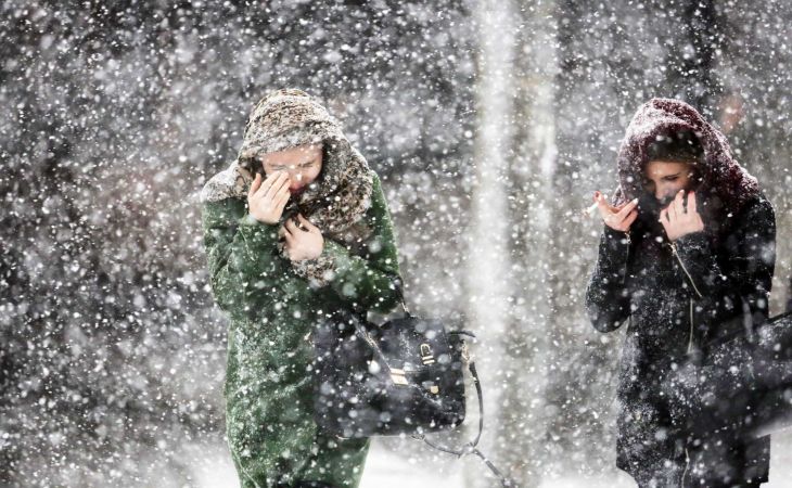 Погода 15 февраля в Алтайском крае: снег, метели и ветер