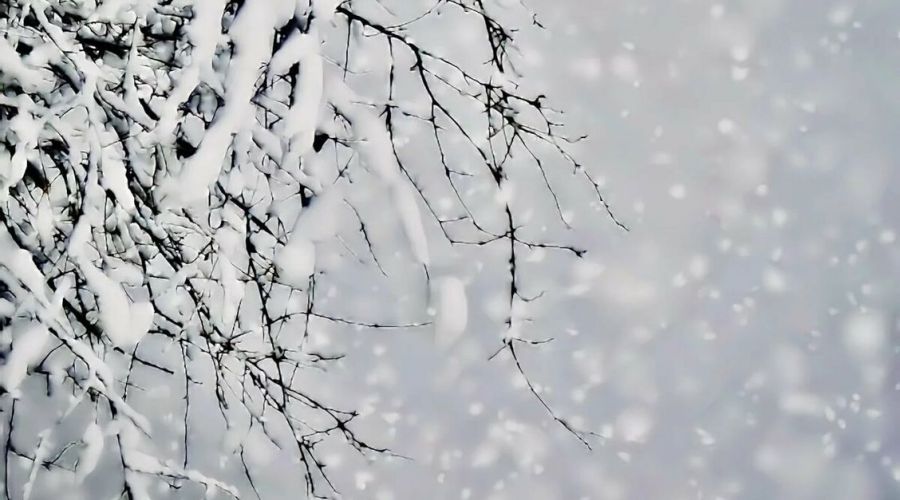 Погода 16 февраля в Алтайском крае: снег, метели и до -17 градусов