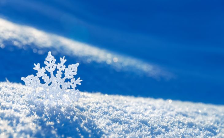 Погода 18 февраля в Алтайском крае: снег, метели и около -6 градусов
