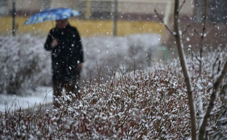 Погода 23 марта в Алтайском крае: мокрый снег, метель, ветер и до +1 градуса