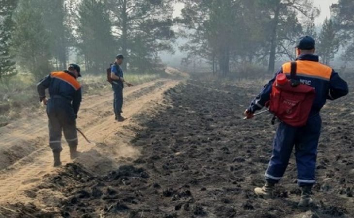 Порядка 350 человек и 118 единиц техники ликвидируют лесные пожары в Алтайском крае